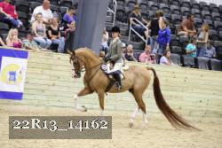 22R13_14162 proof