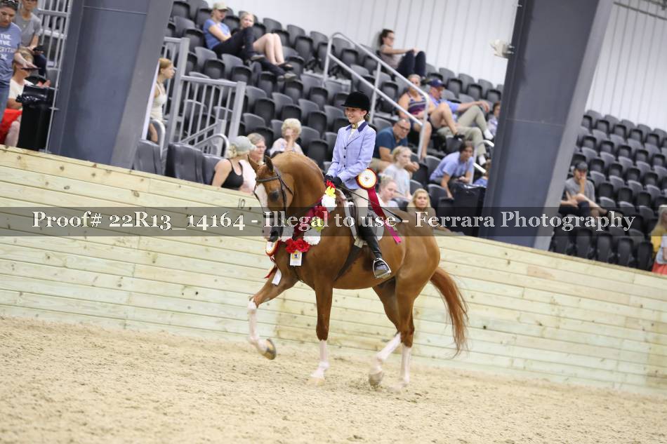 Proof 22R13_14164
