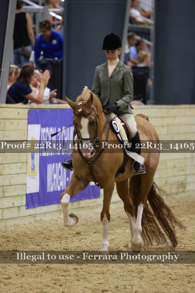 Proof 22R13_14165