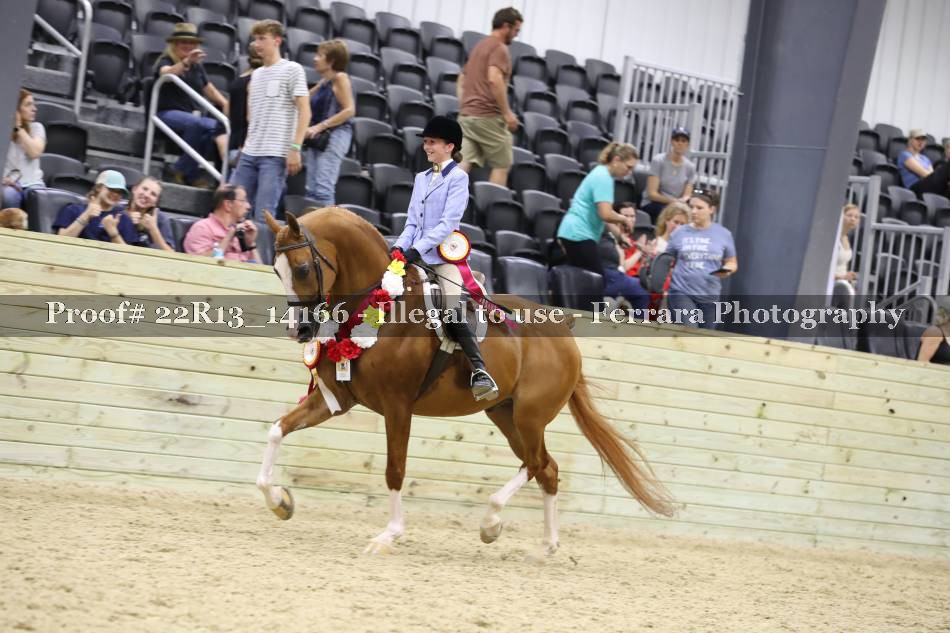 Proof 22R13_14166