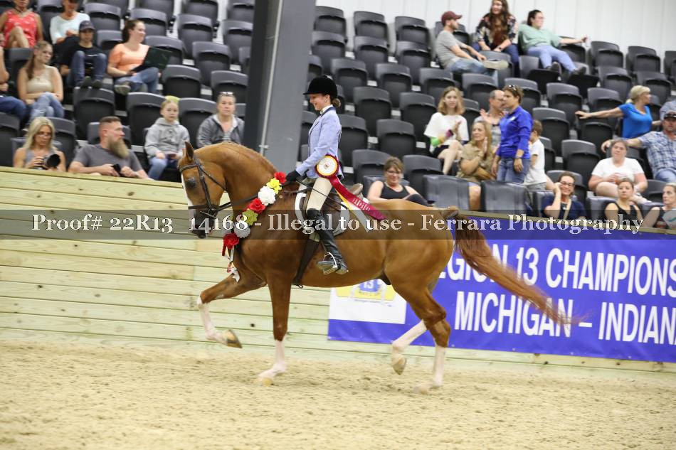 Proof 22R13_14168