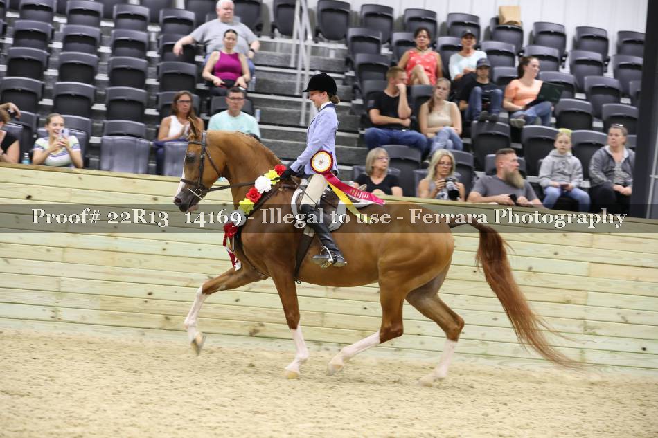 Proof 22R13_14169