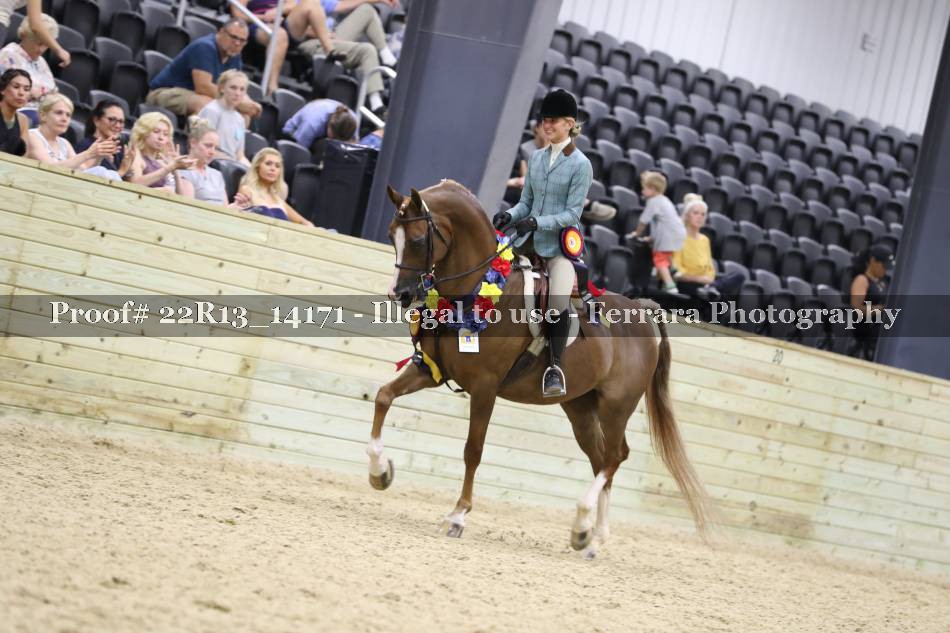 Proof 22R13_14171