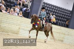 22R13_14171 proof