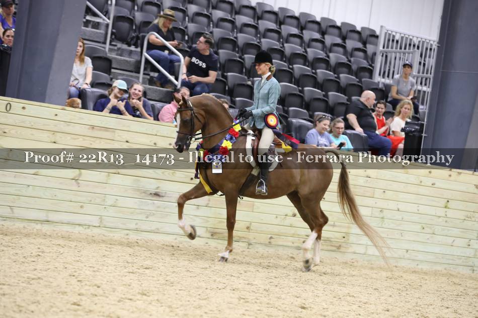 Proof 22R13_14173