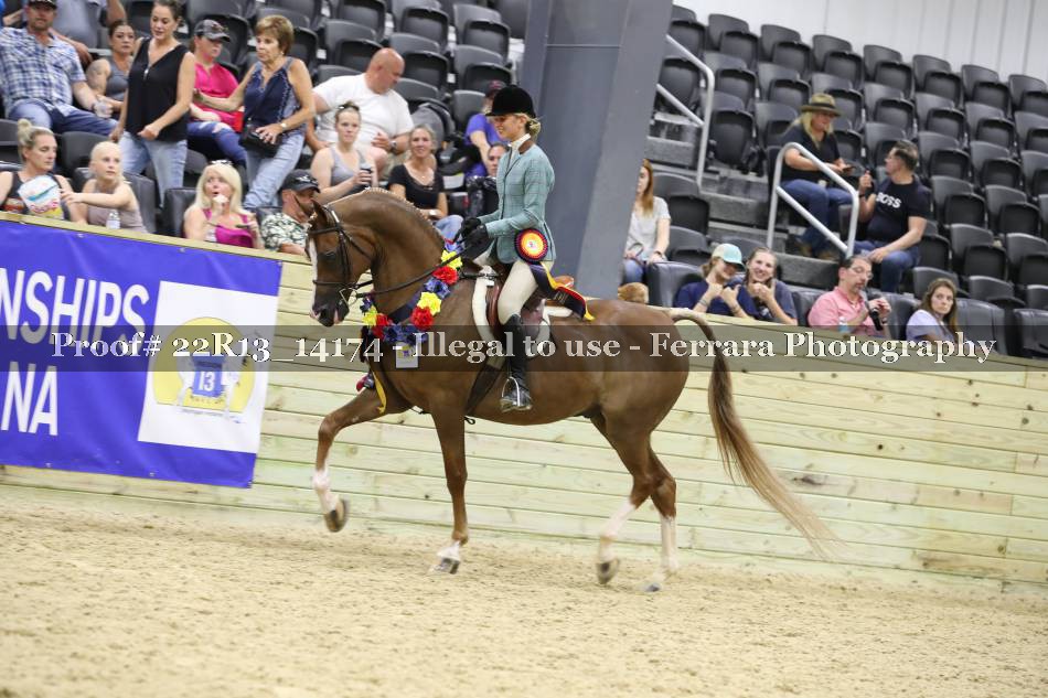 Proof 22R13_14174