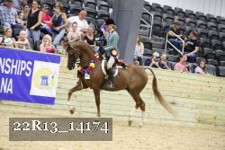 22R13_14174 proof