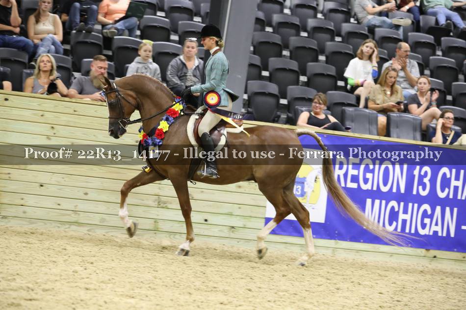 Proof 22R13_14177