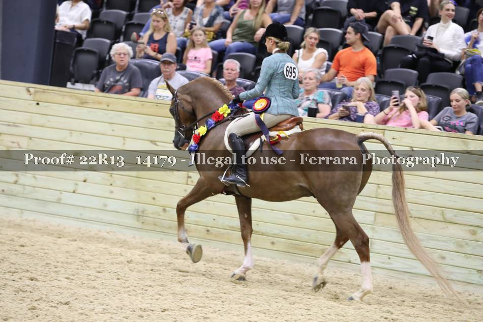Proof 22R13_14179