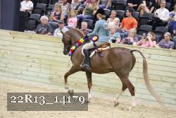22R13_14179 proof