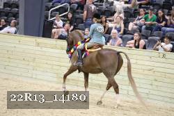 22R13_14180 proof