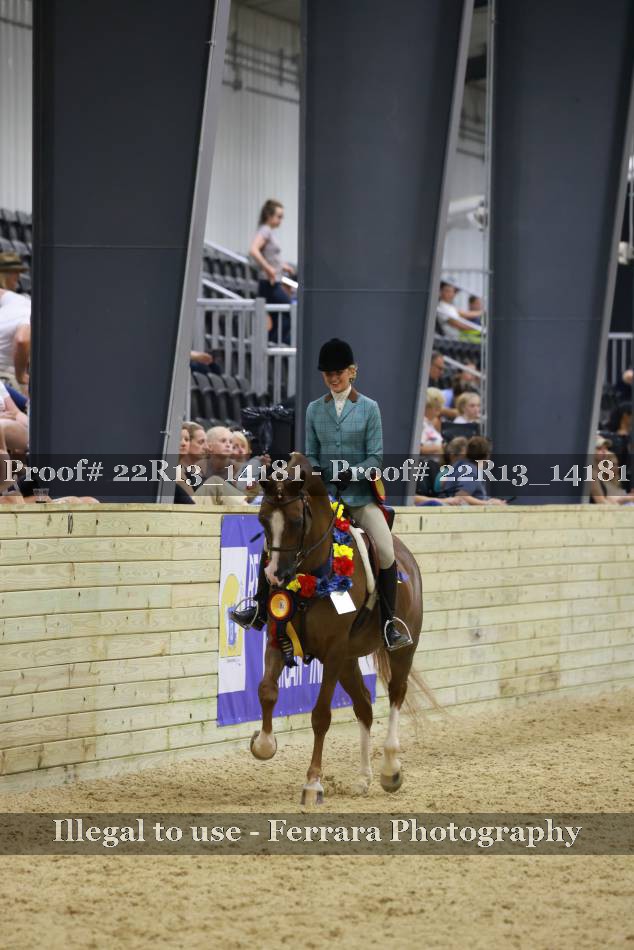 Proof 22R13_14181