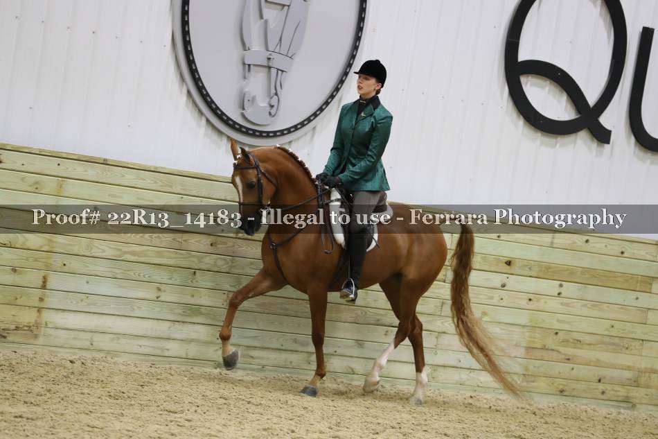 Proof 22R13_14183