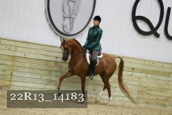 22R13_14183 proof
