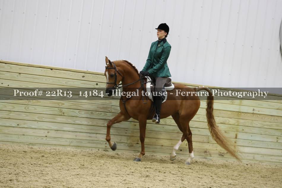 Proof 22R13_14184