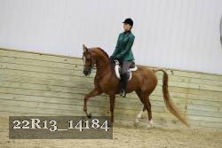 22R13_14184 proof