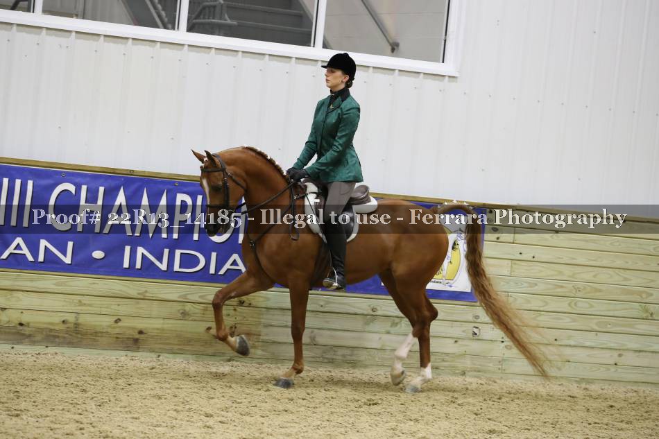 Proof 22R13_14185