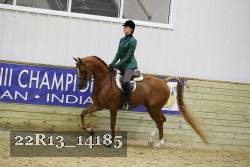 22R13_14185 proof