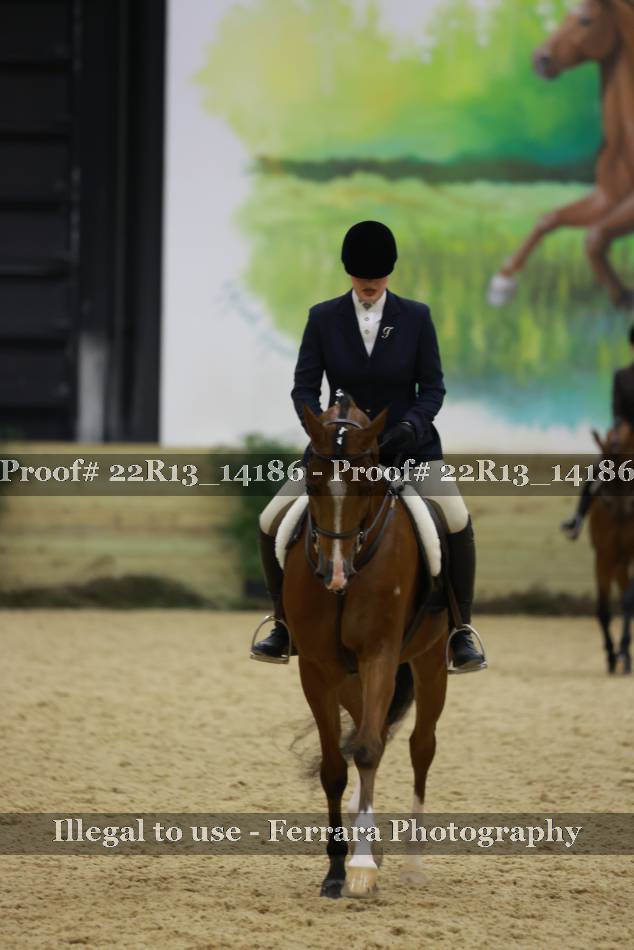 Proof 22R13_14186