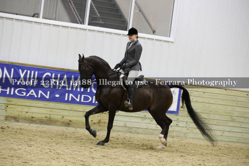 Proof 22R13_14188