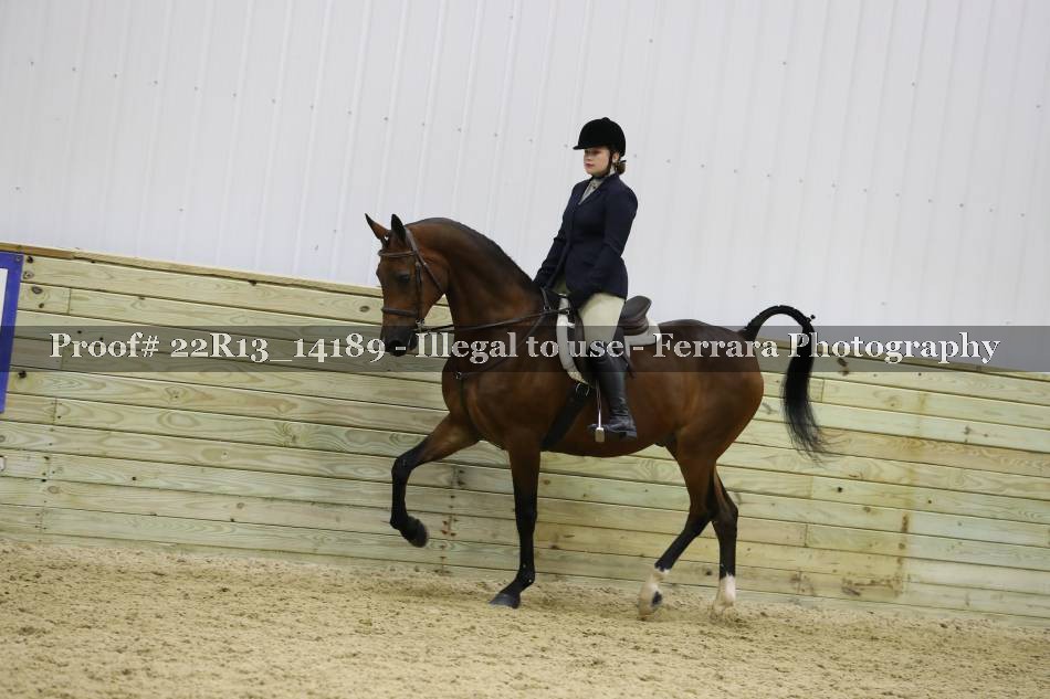 Proof 22R13_14189