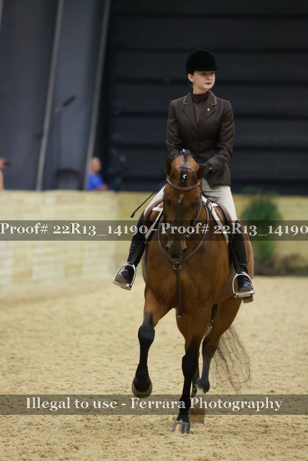 Proof 22R13_14190