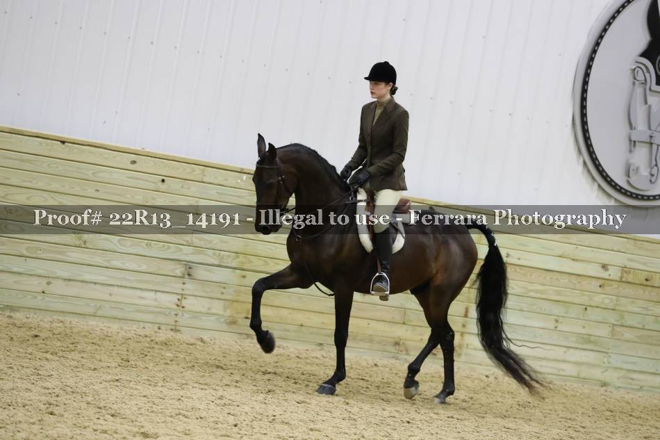 Proof 22R13_14191