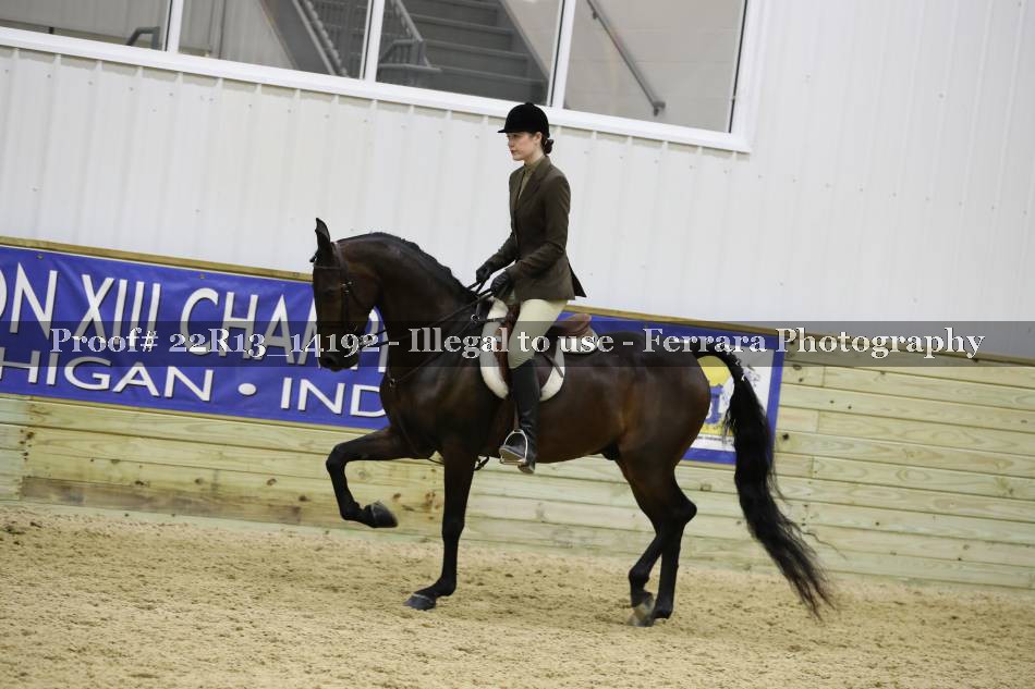 Proof 22R13_14192