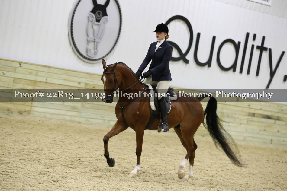 Proof 22R13_14193