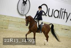 22R13_14193 proof