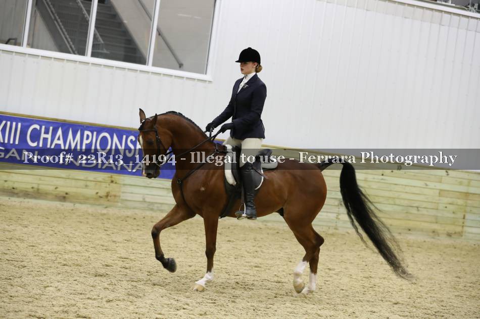 Proof 22R13_14194