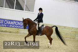 22R13_14194 proof
