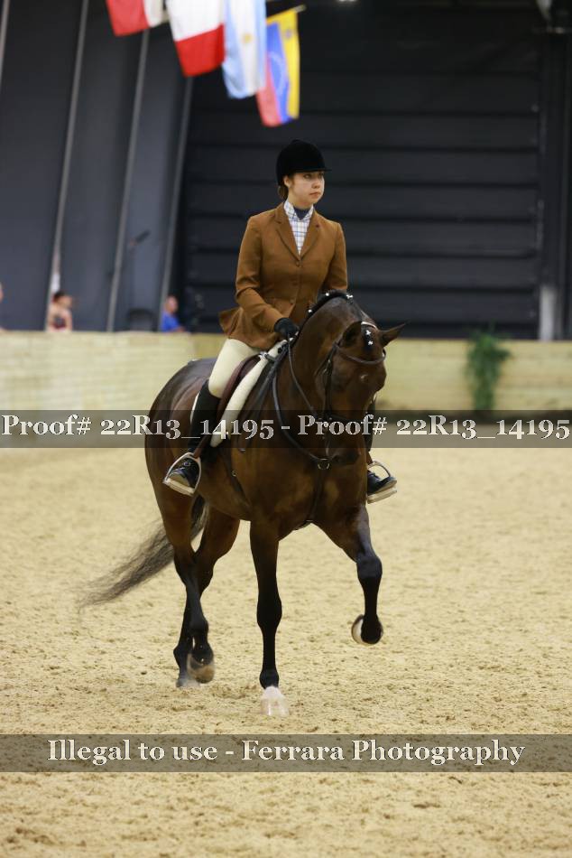 Proof 22R13_14195