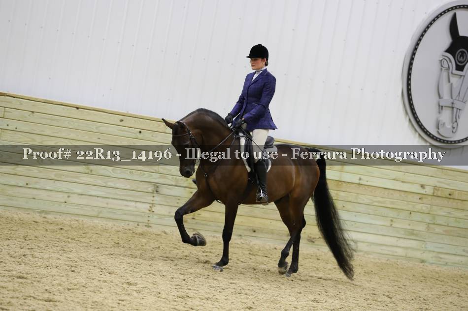 Proof 22R13_14196