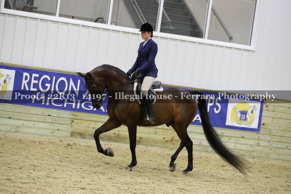 Proof 22R13_14197