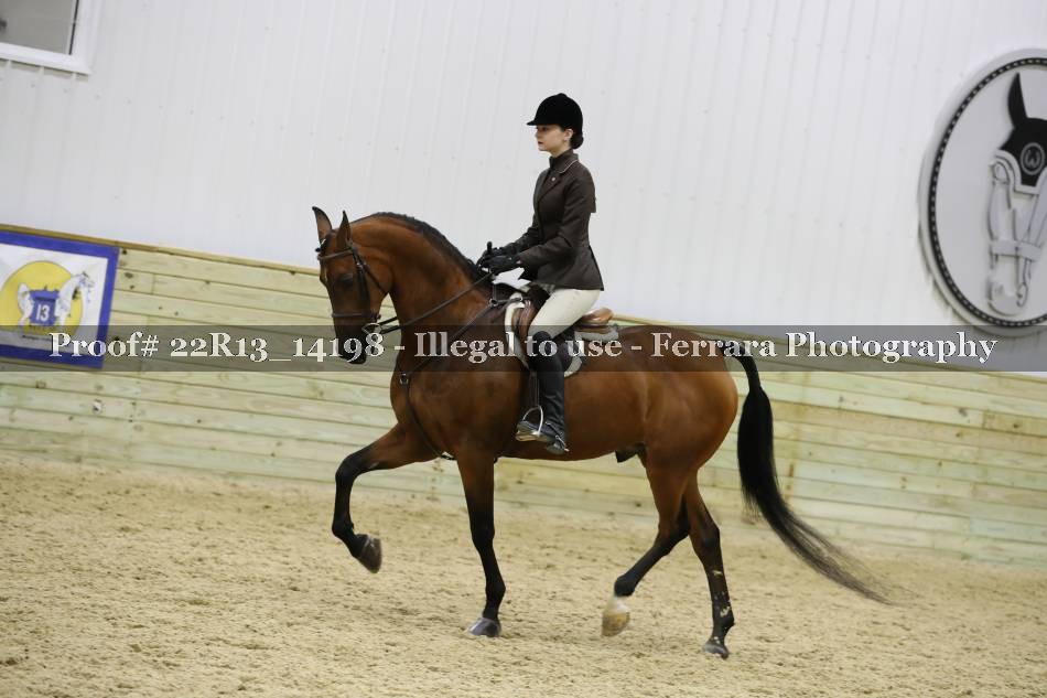 Proof 22R13_14198