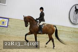 22R13_14198 proof