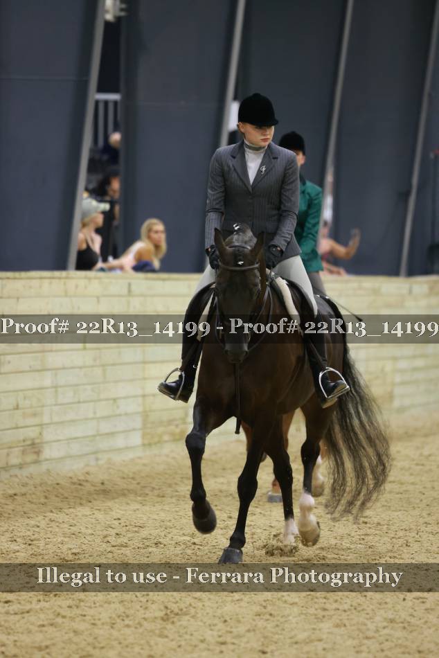 Proof 22R13_14199
