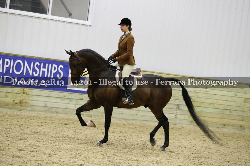 Proof 22R13_14201