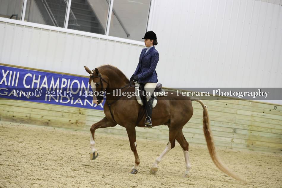Proof 22R13_14202