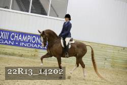 22R13_14202 proof