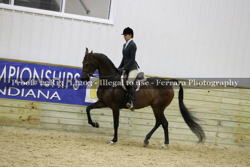 Proof 22R13_14203
