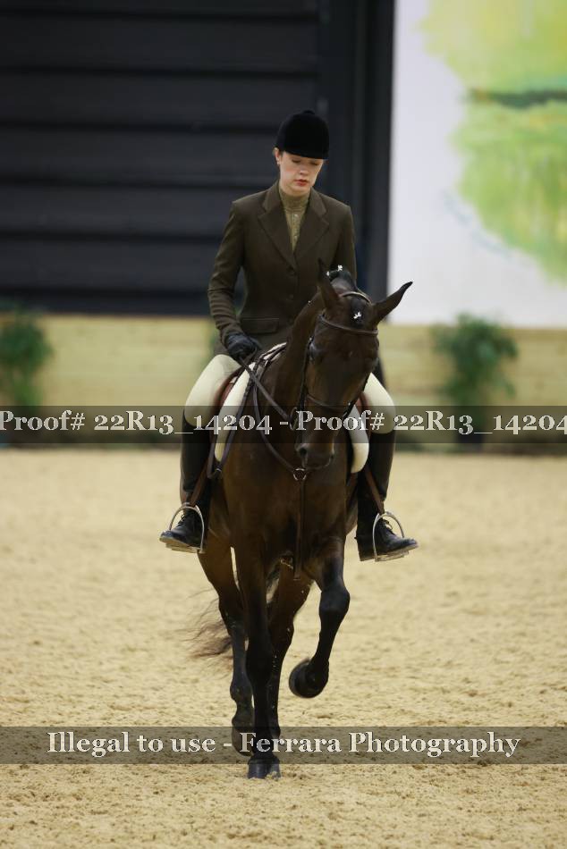 Proof 22R13_14204