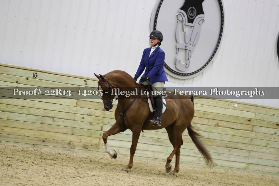 Proof 22R13_14205