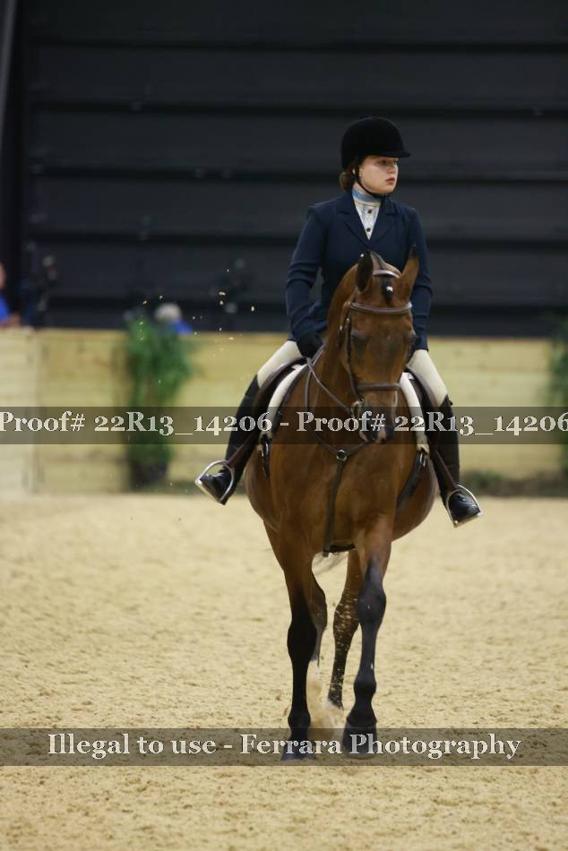Proof 22R13_14206