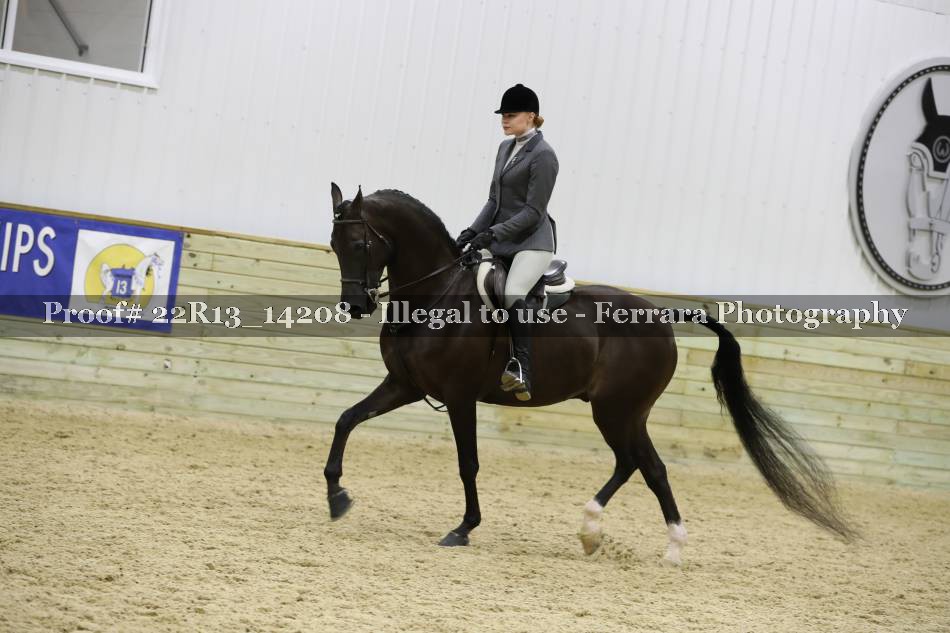 Proof 22R13_14208