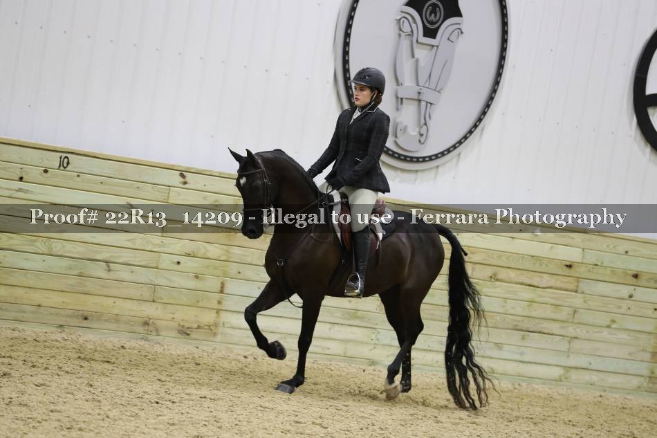 Proof 22R13_14209