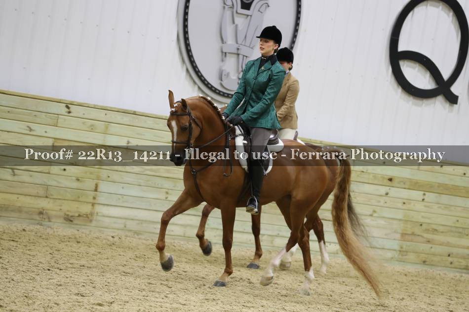 Proof 22R13_14211