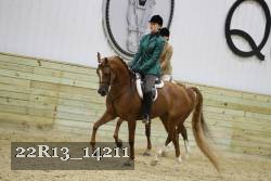 22R13_14211 proof