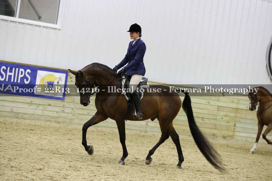 Proof 22R13_14216
